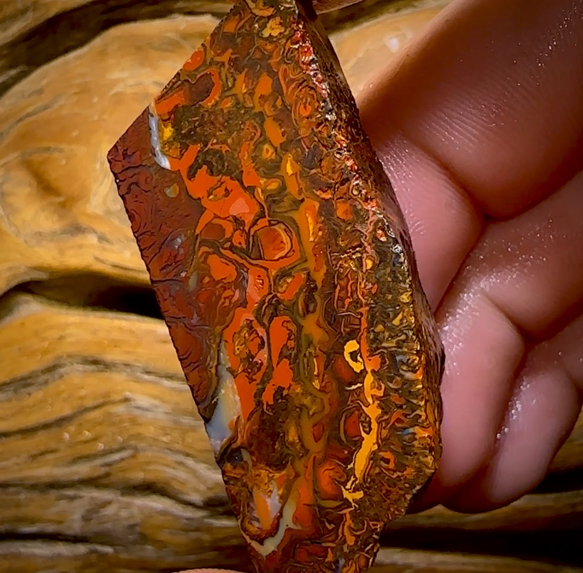 173,1 ct – Rohstück eines Boulderopals aus Koroit, Queensland (Stammesgebiet)