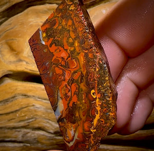 173,1 ct – Rohstück eines Boulderopals aus Koroit, Queensland (Stammesgebiet)
