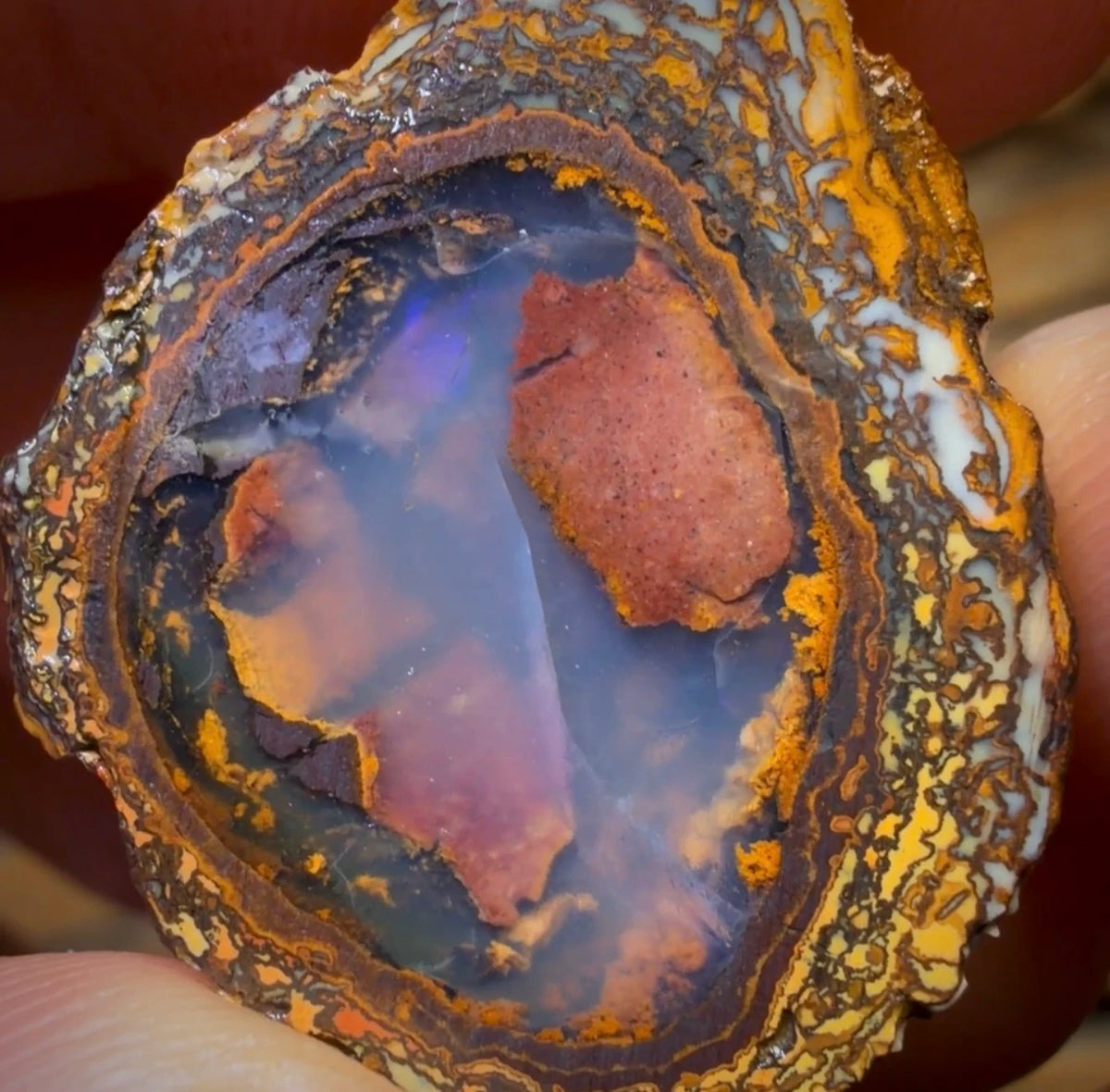 OpalFest WildCard 20% OFF 70.8cts - Yowah Nut Partial Crystal Centre Rough Specimen Pair