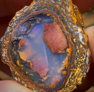 OpalFest WildCard 20% OFF 70.8cts - Yowah Nut Partial Crystal Centre Rough Specimen Pair