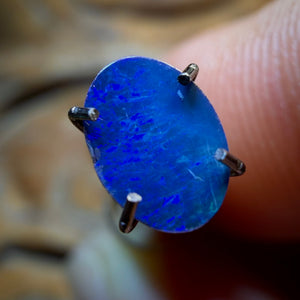 Wildcard! 0.49cts - Australian Boulder Opal Doublet