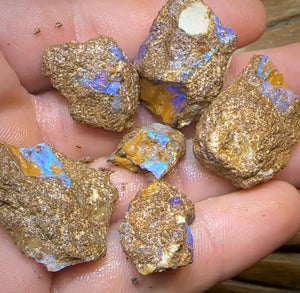 105.4cts - 6x Queensland Boulder Opal. Fossil Wood Replacement - Opal Whisperers