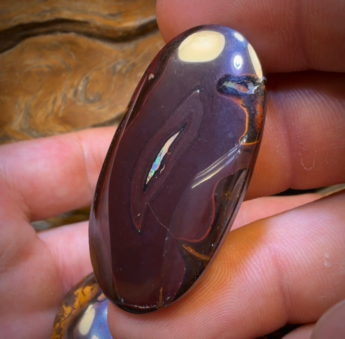 269.1cts - 3x Yowah Nut Opal’s. Wholesale Dealers Parcel