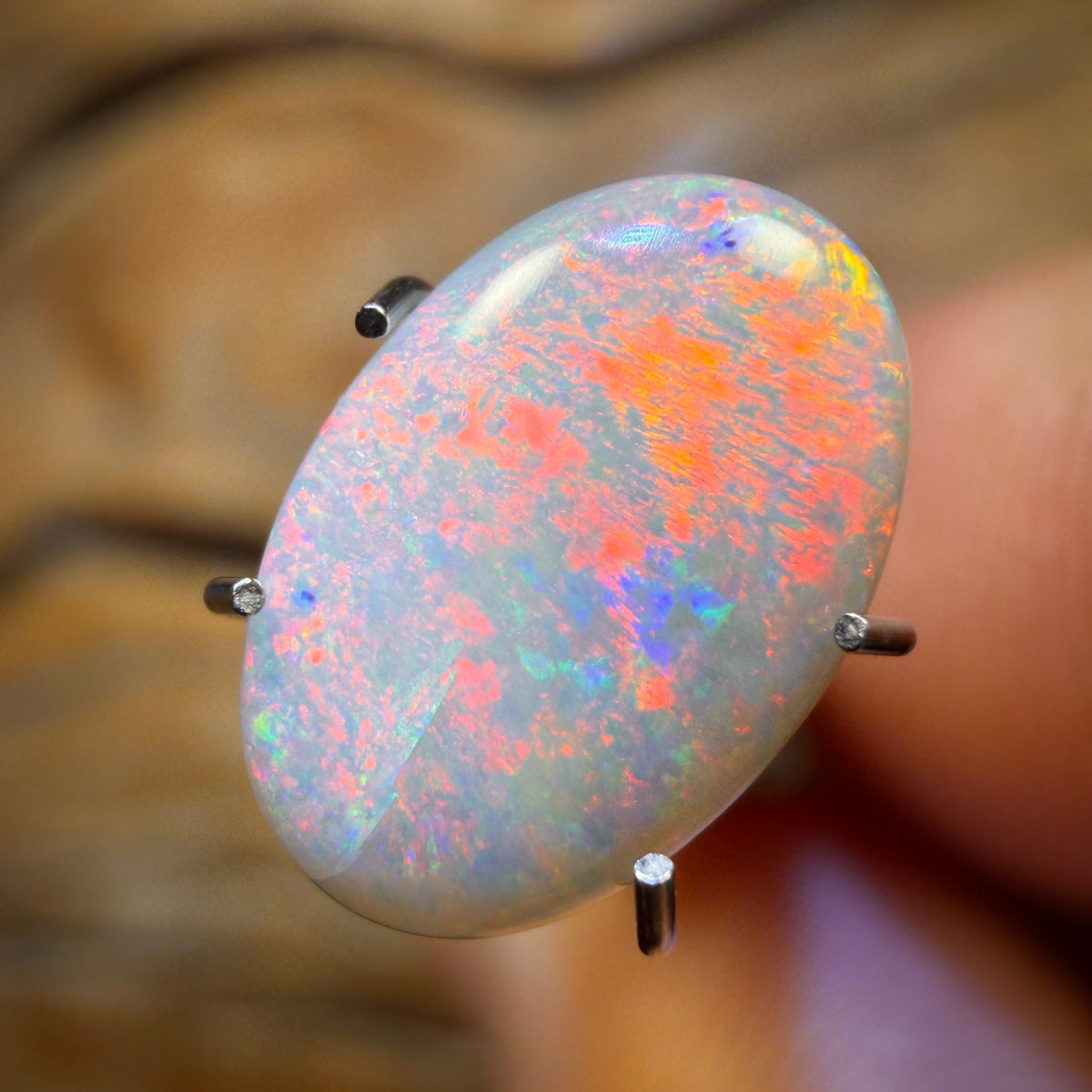 🔨 AUCTION 🔨 1.6cts - Rare Mintabie Australian Dark Opal