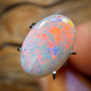 🔨 AUCTION 🔨 1.6cts - Rare Mintabie Australian Dark Opal