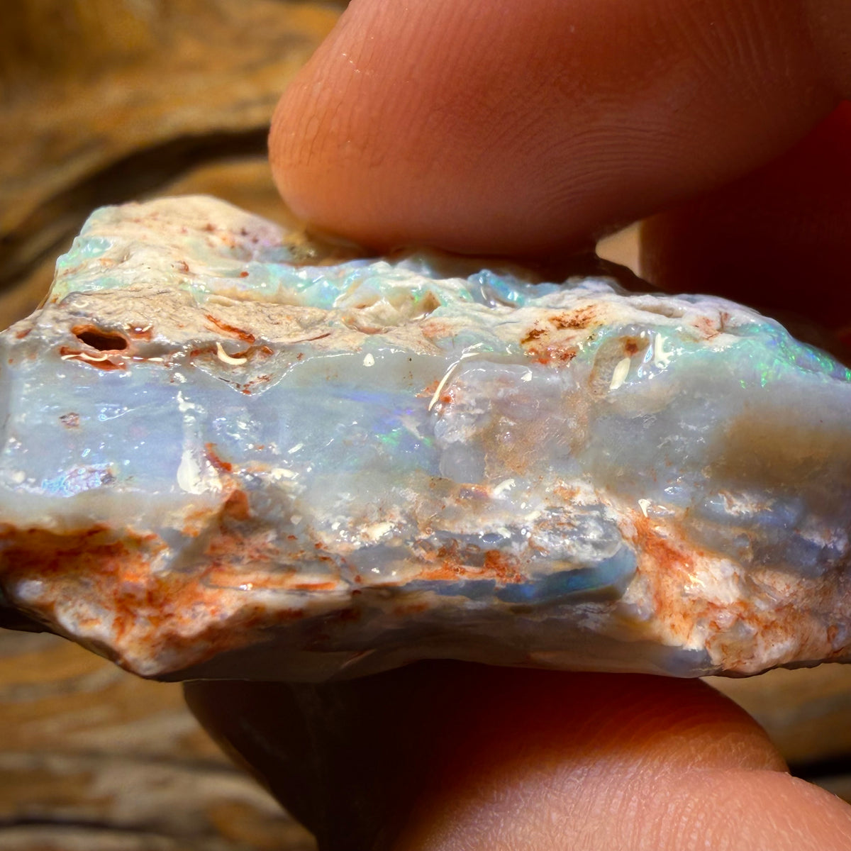 186.1cts - Large Lightning Ridge Dark Opal Rough Piece