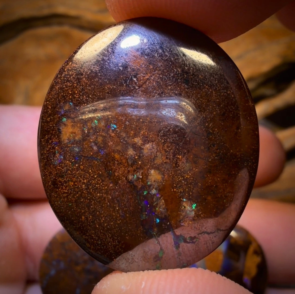 49.3cts - 3x Australian Boulder Opal’s. Wholesale Dealers Parcel Bargain