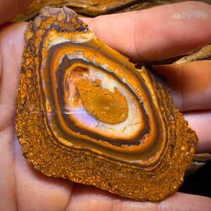 697cts - Large Yowah Nut Partial Crystal Centre Rough Specimen Pair