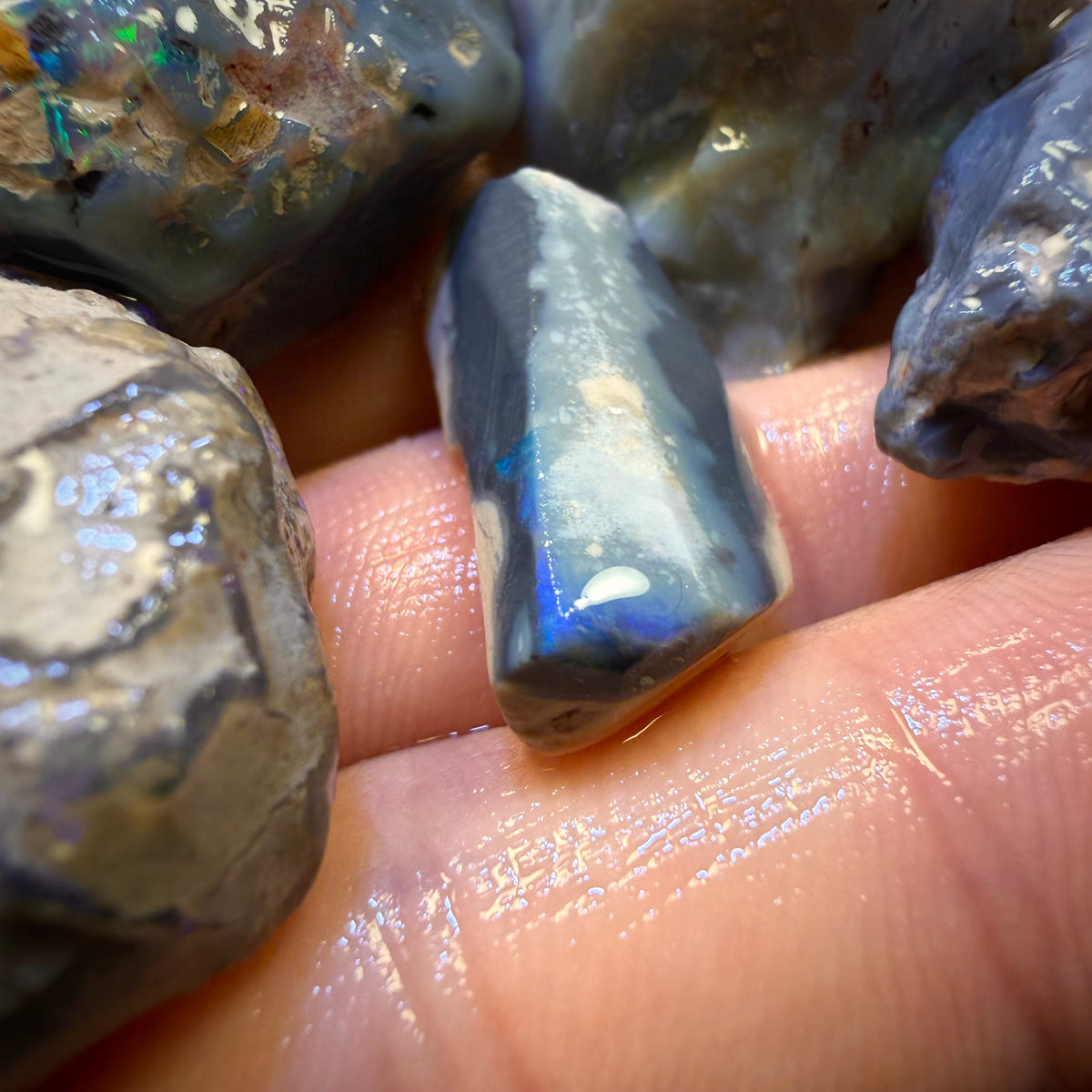 157.8cts - 5x Lightning Ridge Opal Rough Parcel
