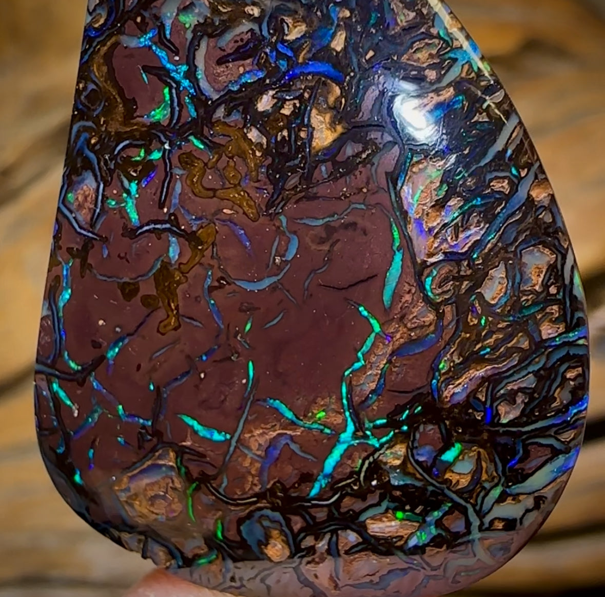 53.5cts - Electric Tribal Queensland Boulder Opal
