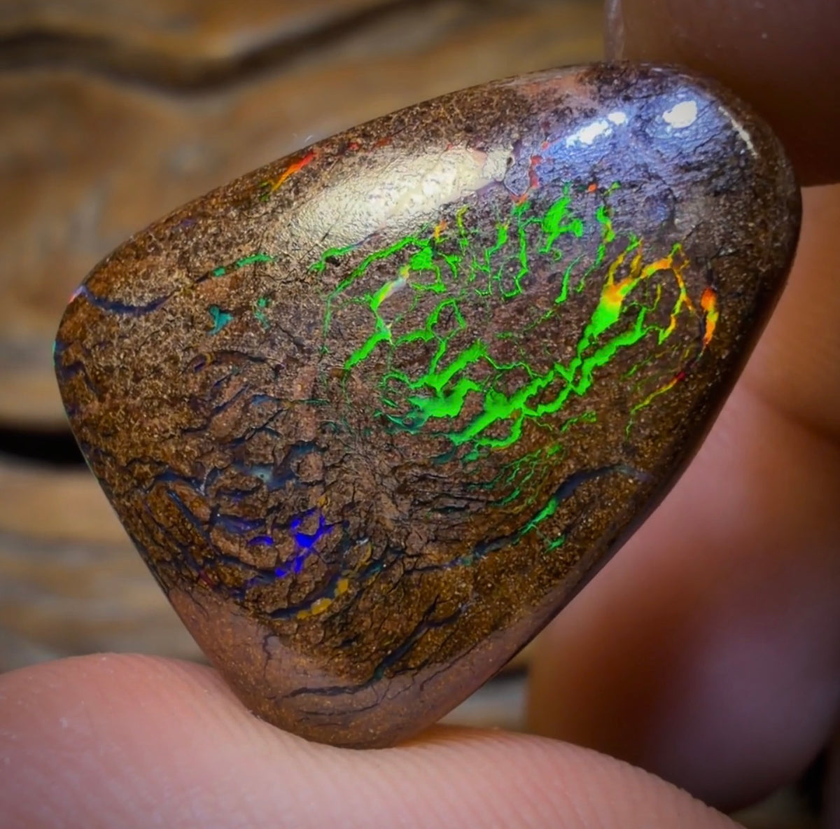 29.1cts - Bubbleband Opal from Winton. Australian Opal