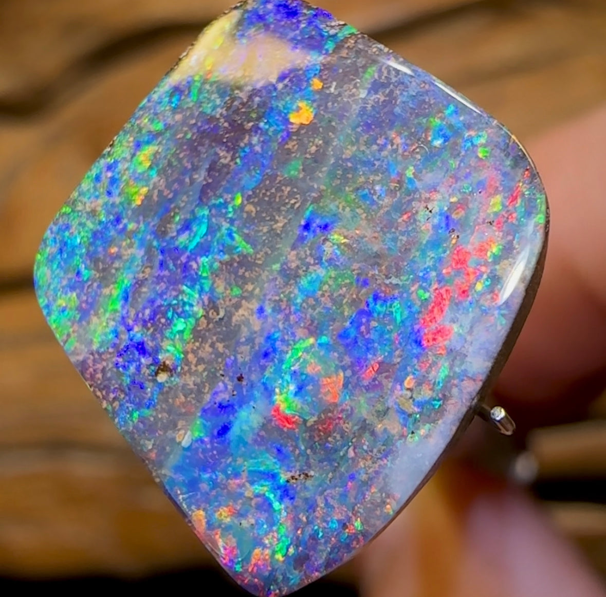 13.4cts - GEM Australian Boulder Seam Opal - Opal Whisperers