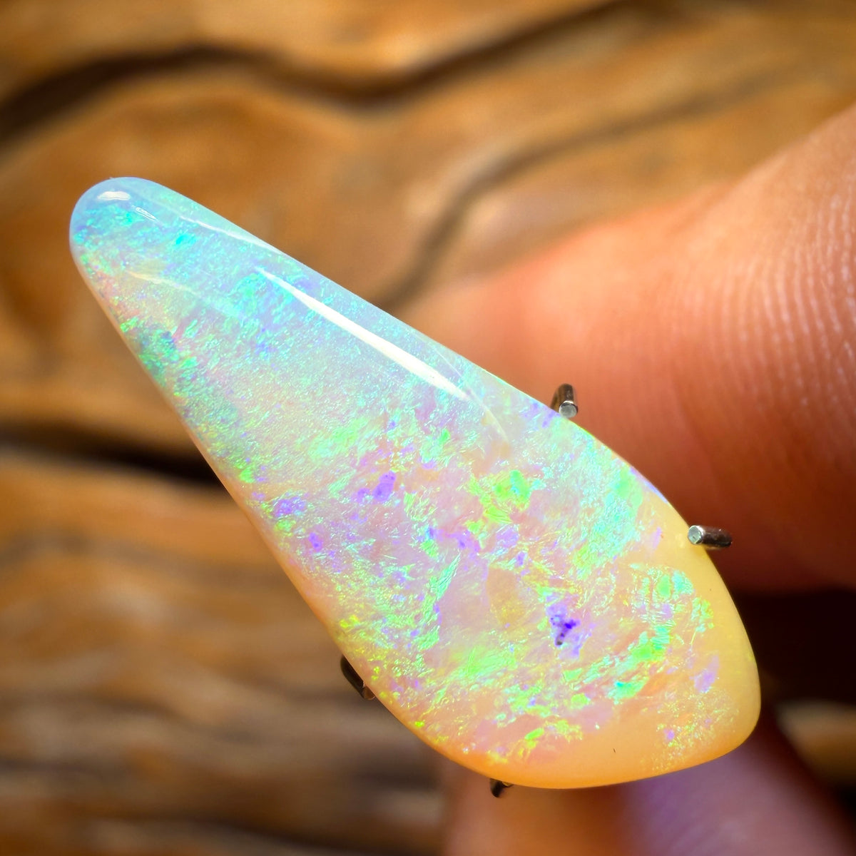 TGIF 4.7cts - Solid Australian Boulder Pipe Golden Crystal Opal