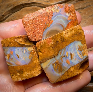 323.9cts - 3x Queensland Boulder Pipe Opal Rough Parcel