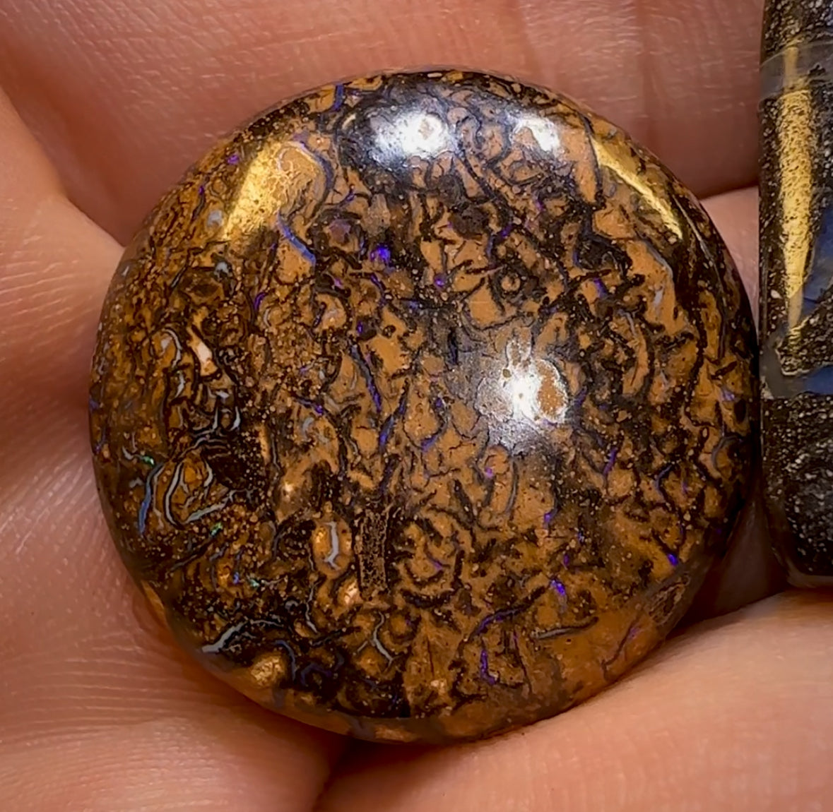 🔒  75.8cts - 3x Loose Queensland Boulder Opals. Parcel