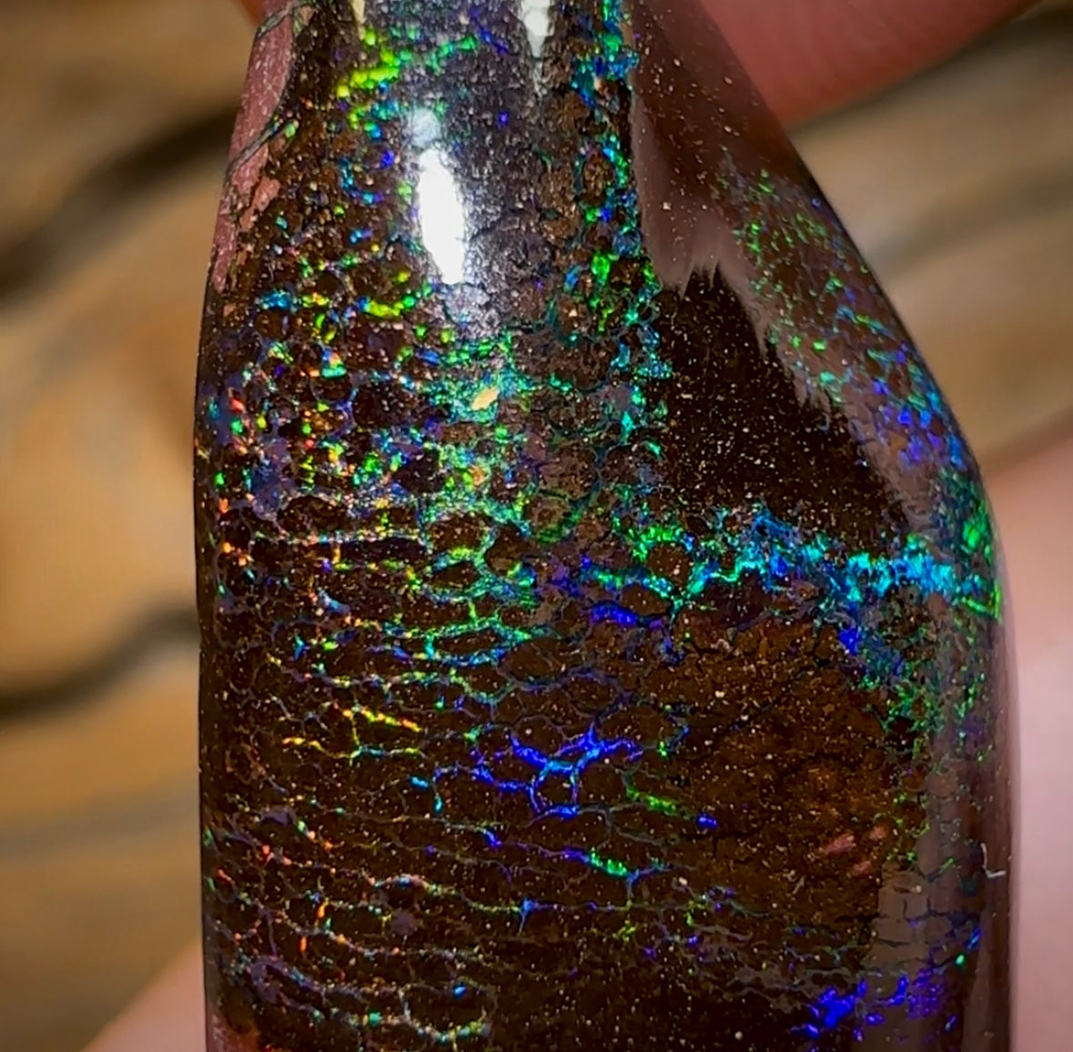 25.4cts - Koroit Nut Tribal Opal. Australian Opal - Opal Whisperers