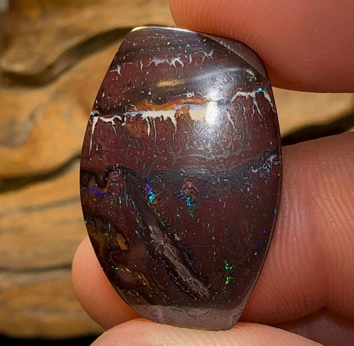 26.1cts - Queensland Boulder Opal - Opal Whisperers