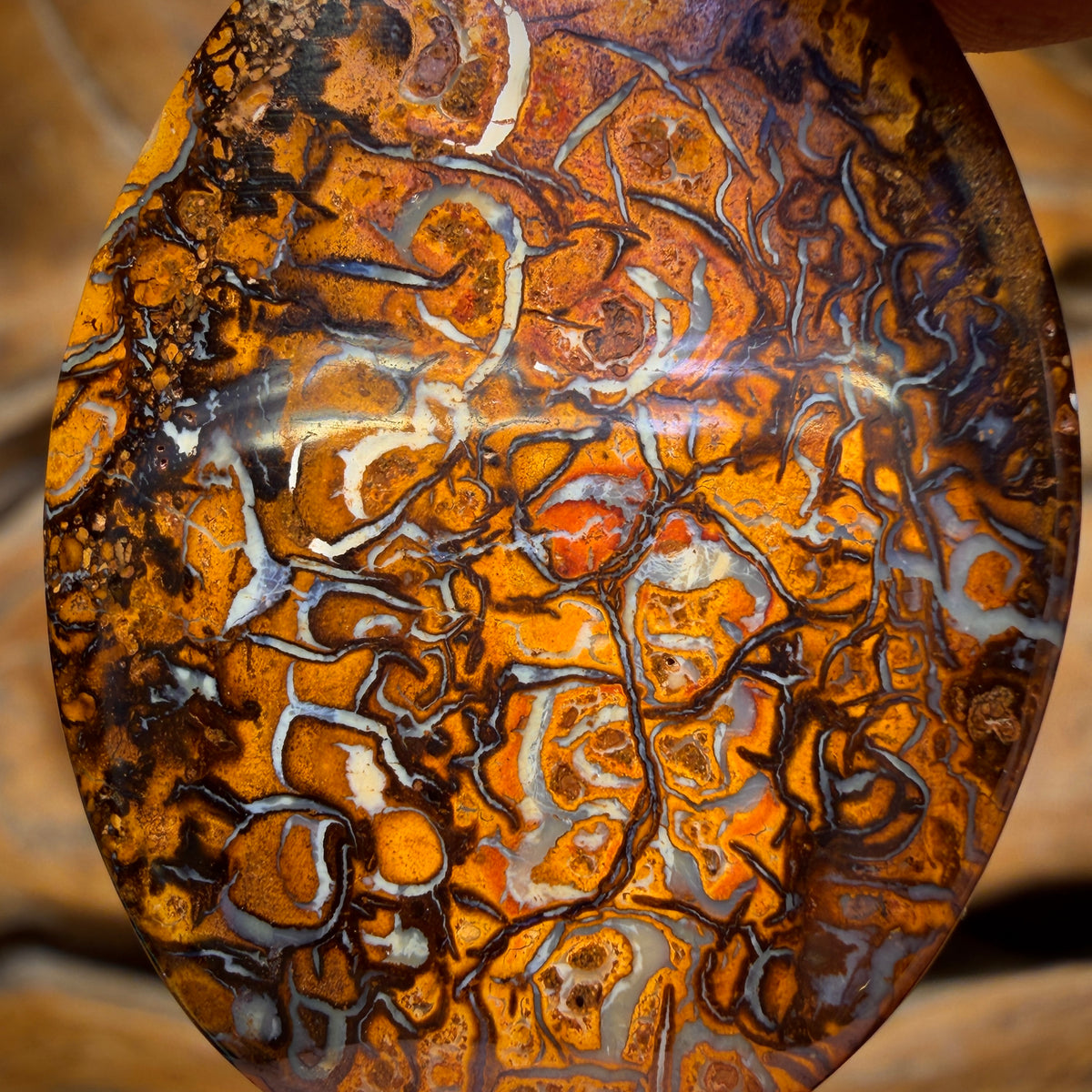 47.2cts - Tribal Yowah Nut Opal. Double Sided