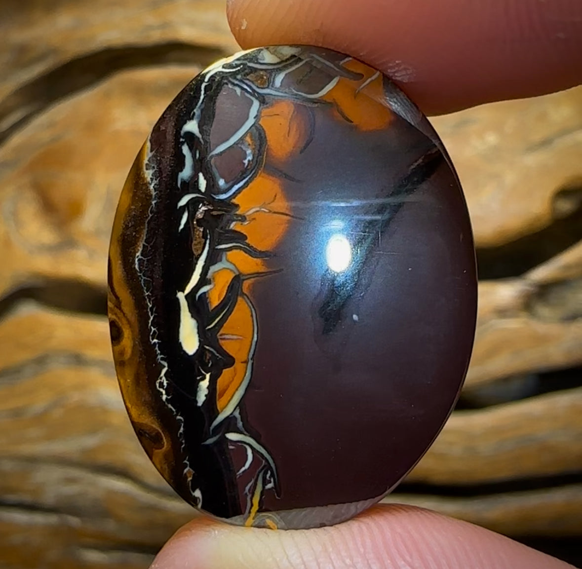 Auction Fall-Through = Your Gain! 🔥 Now More Than 50% Off RRP 🚨 59.3cts - Queensland Boulder Opal from Koroit