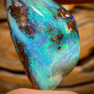 34,2 cts - Opale de gisement boulder du Queensland