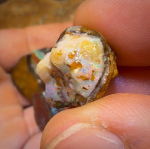 🔒 221,6 cts - Lot de 5 opales brutes Yowah Nut. Opale boulder australienne.