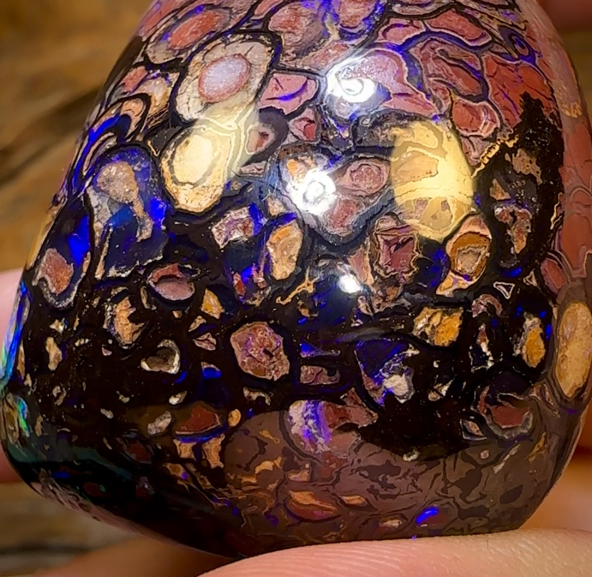 396.1cts - ISAACS CUT!! Large Top Tribal Queensland Boulder Opal Polished Specimen