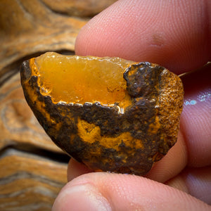 🔨 AUCTION 🔨 50.8cts - Yowah Nut Crystal Centre Opal Rough Piece