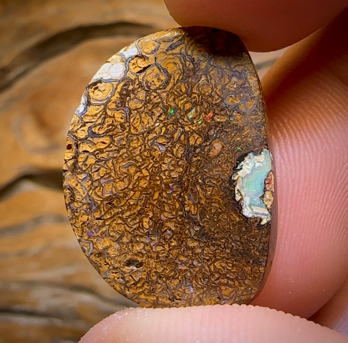 29.1cts - Tribal Australian Boulder Opal from Yowah