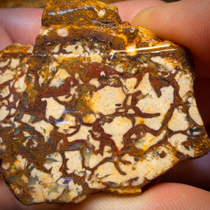 311.9cts - Tribal Yowah Nut Opal Rough Pair. Australian Opal