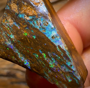 57.1cts - Queensland Boulder Wood Fossil Opal Preform Rub