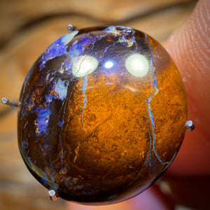 🔨 AUCTION 🔨 No Reserve 6.7cts - Queensland Boulder Opal from Yowah