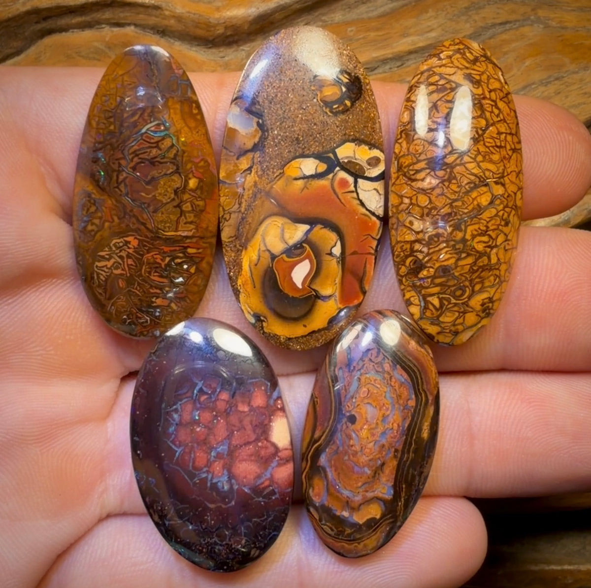🔒 149.4cts - 5x Australian Tribal Boulder Opal’s. Wholesale Dealers Parcel