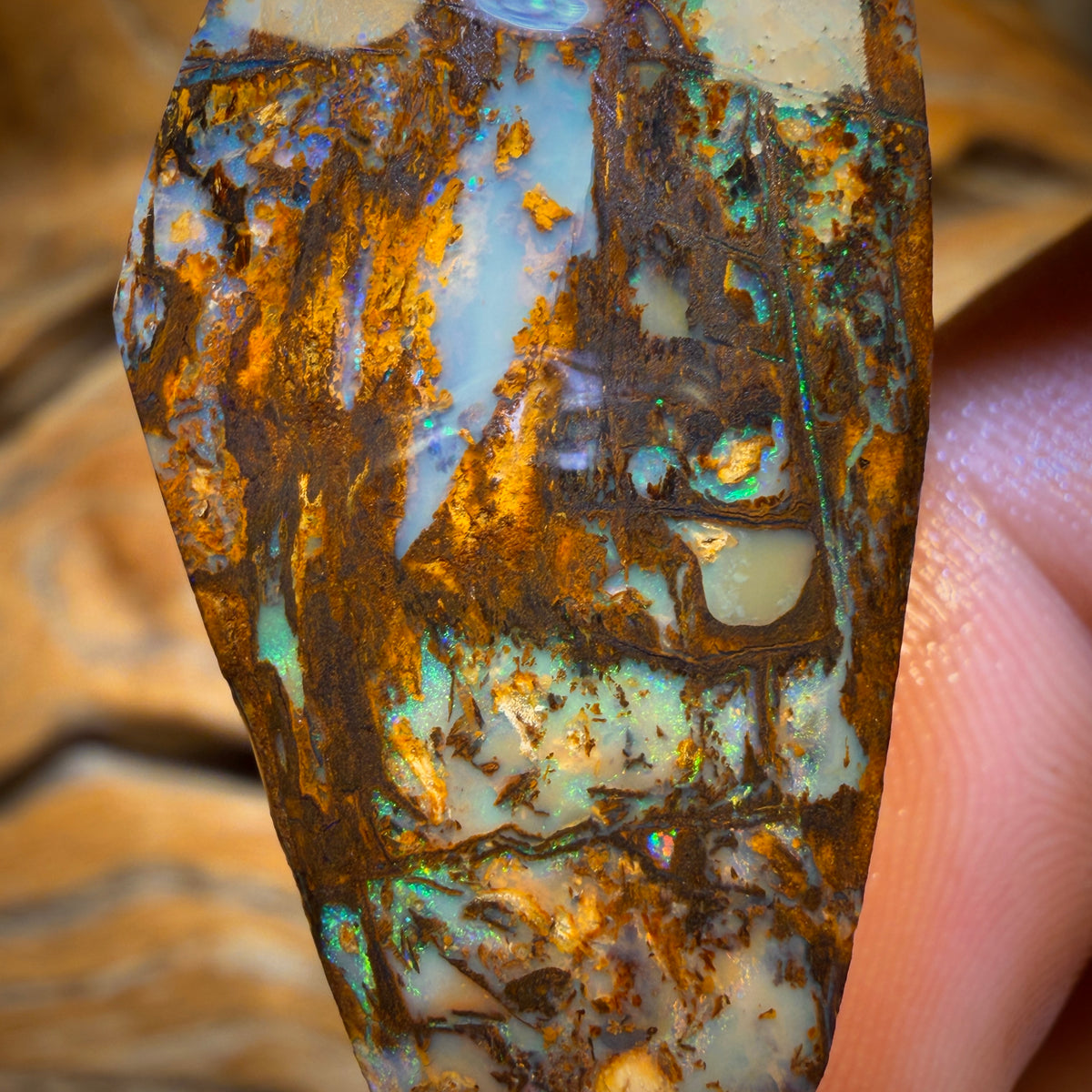 44.1cts - Vegetation Fossil Replacement Boulder Opal Rub