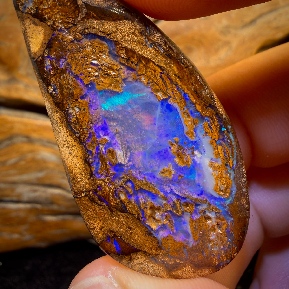 110.8cts - TOP Yowah Nut Opal. Rockpool Pattern