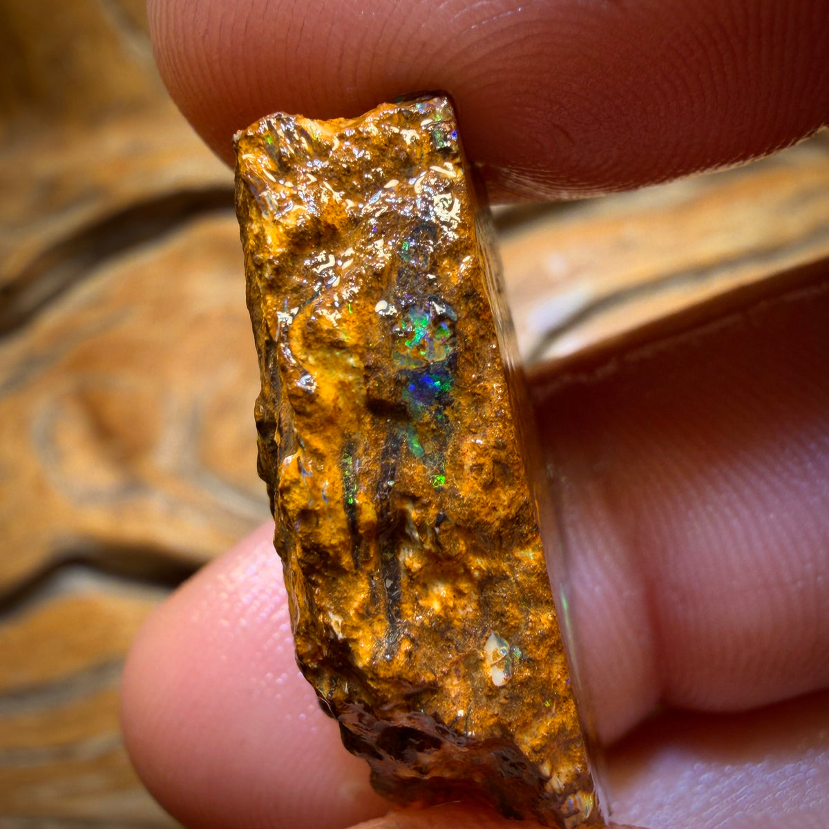 Wildcard! 38.4cts - Tribal Yowah Nut Opal Rough Piece