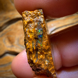 Wildcard! 38.4cts - Tribal Yowah Nut Opal Rough Piece