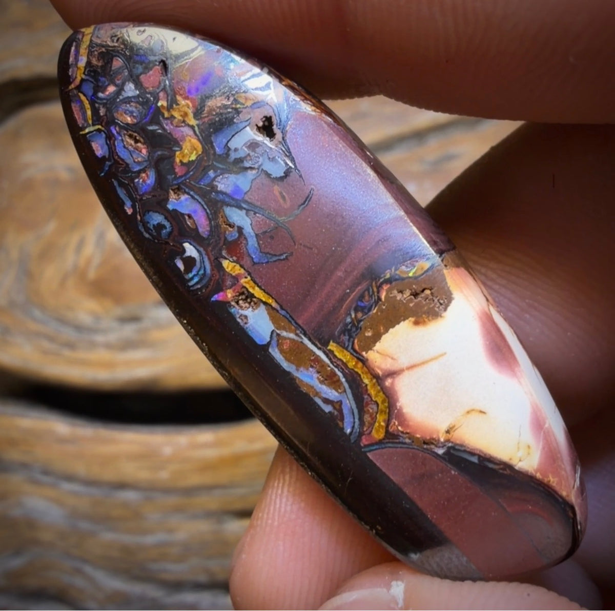 60.6cts - Tribal Queensland Boulder Opal from Koroit with Gold