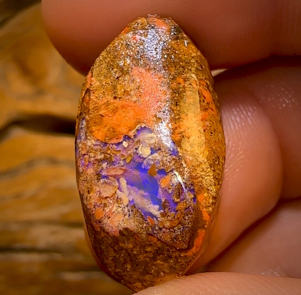 Bargain Card! 30.5cts - Boulder Pipe Opal Rough Piece. Australian Opal