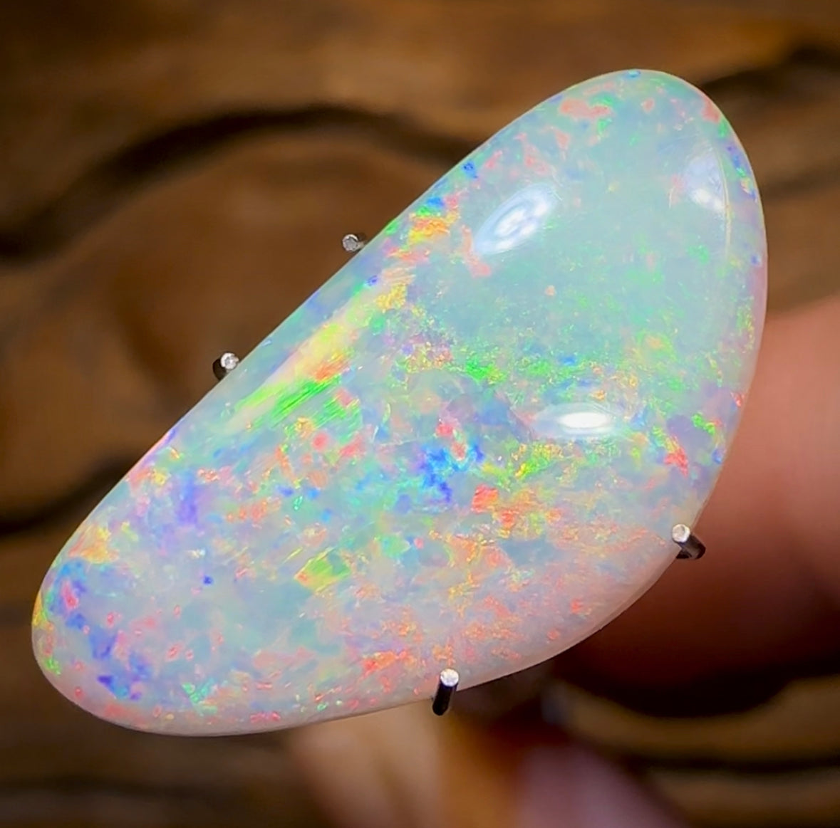 5.25cts - GEM QUALITY Lightning Ridge Crystal Opal - Opal Whisperers