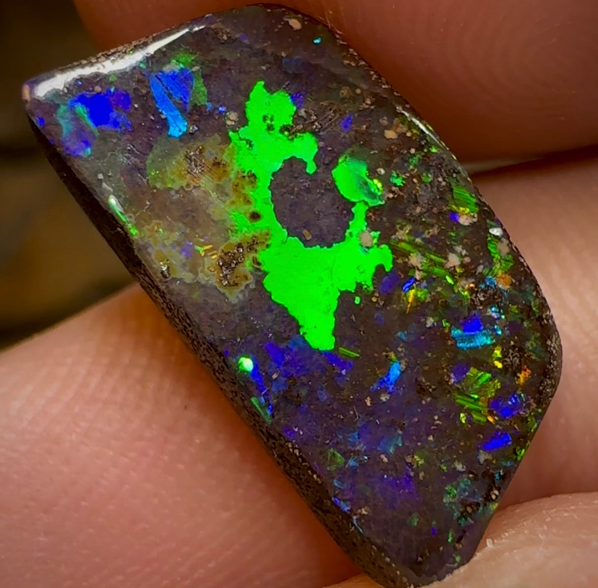 6.1cts - Top Australian Boulder Opal from Winton - Opal Whisperers