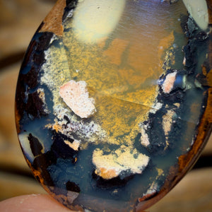 WILDCARD KERNEL 19.5cts - Yowah Nut Crystal Centre Opal. Australian Boulder Opal