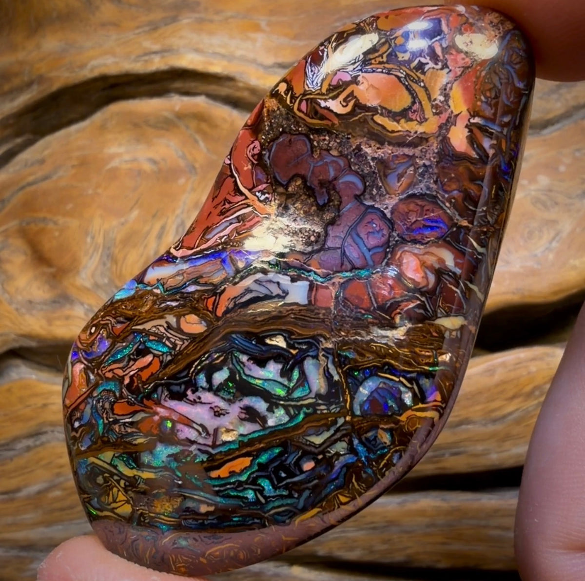 265.6cts - Top Tribal Australian Boulder Opal. Polished Specimen