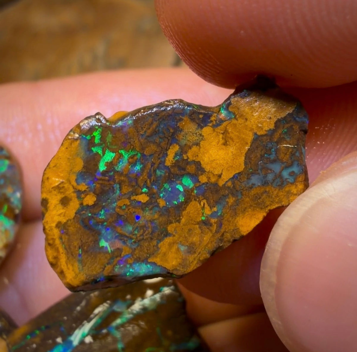 🔒59.1cts - 4x Yowah Nut Rough Opal Parcel. Australian Boulder Opal