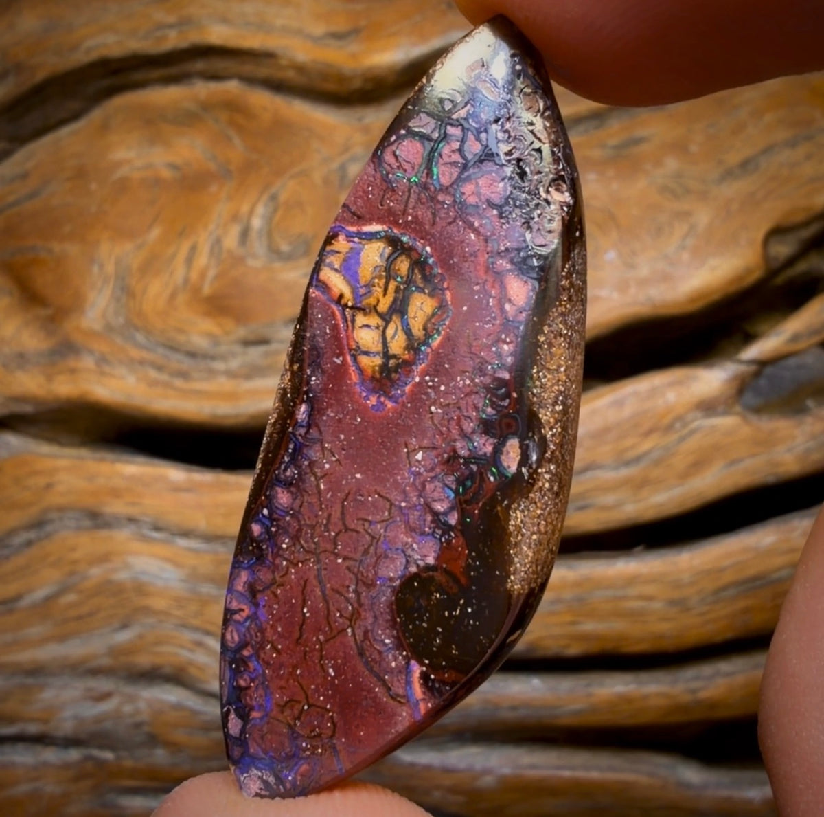 54.8cts - Yowah Nut Kernel Opal. Australian Boulder Opal
