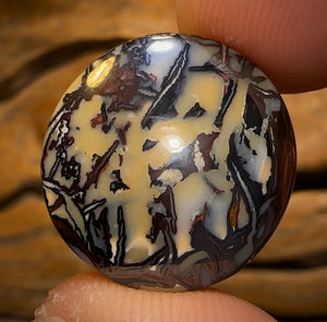 34.3cts - Queensland Boulder Opal from Koroit Bargain Tribal