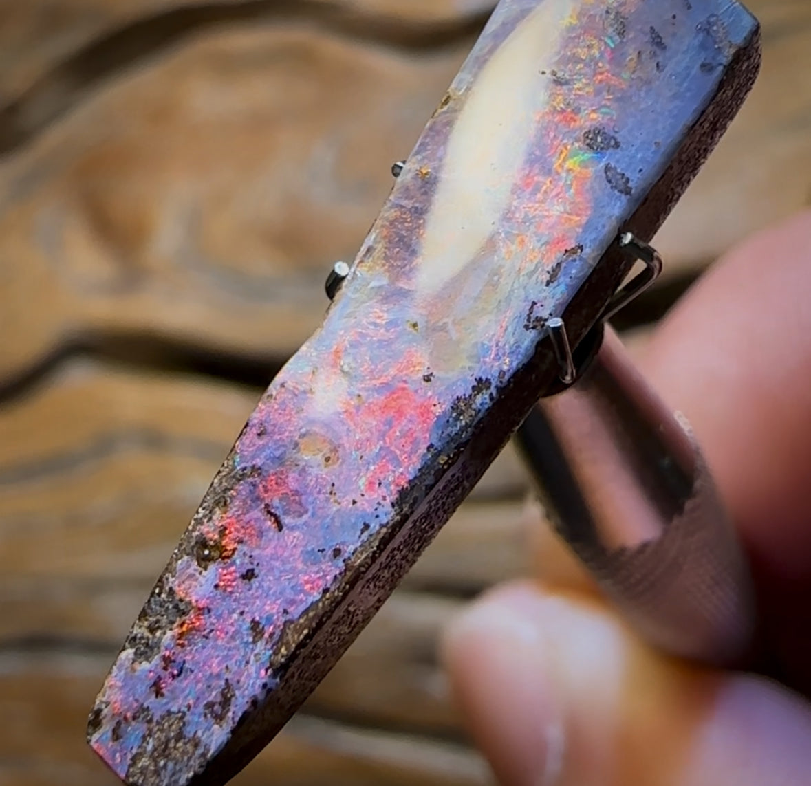 7.6cts - “Red Flash Family”Queensland Boulder Seam Opal