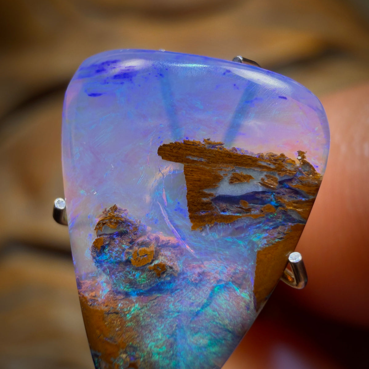 3.1cts - Wood Fossil Replacement Boulder Opal from Yowah