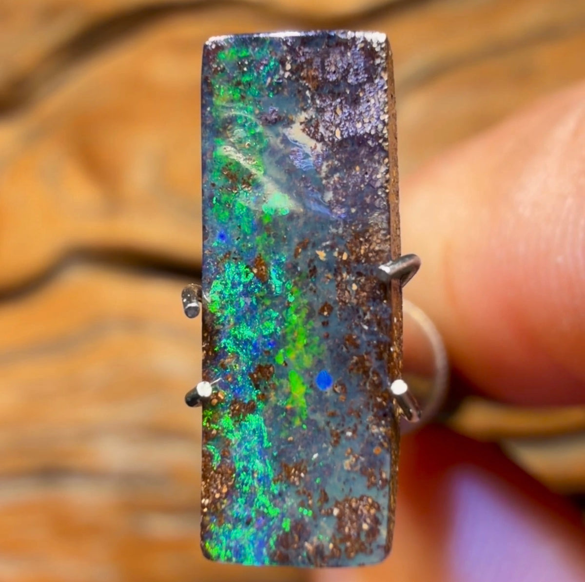 2.6cts - Queensland Boulder Seam Opal