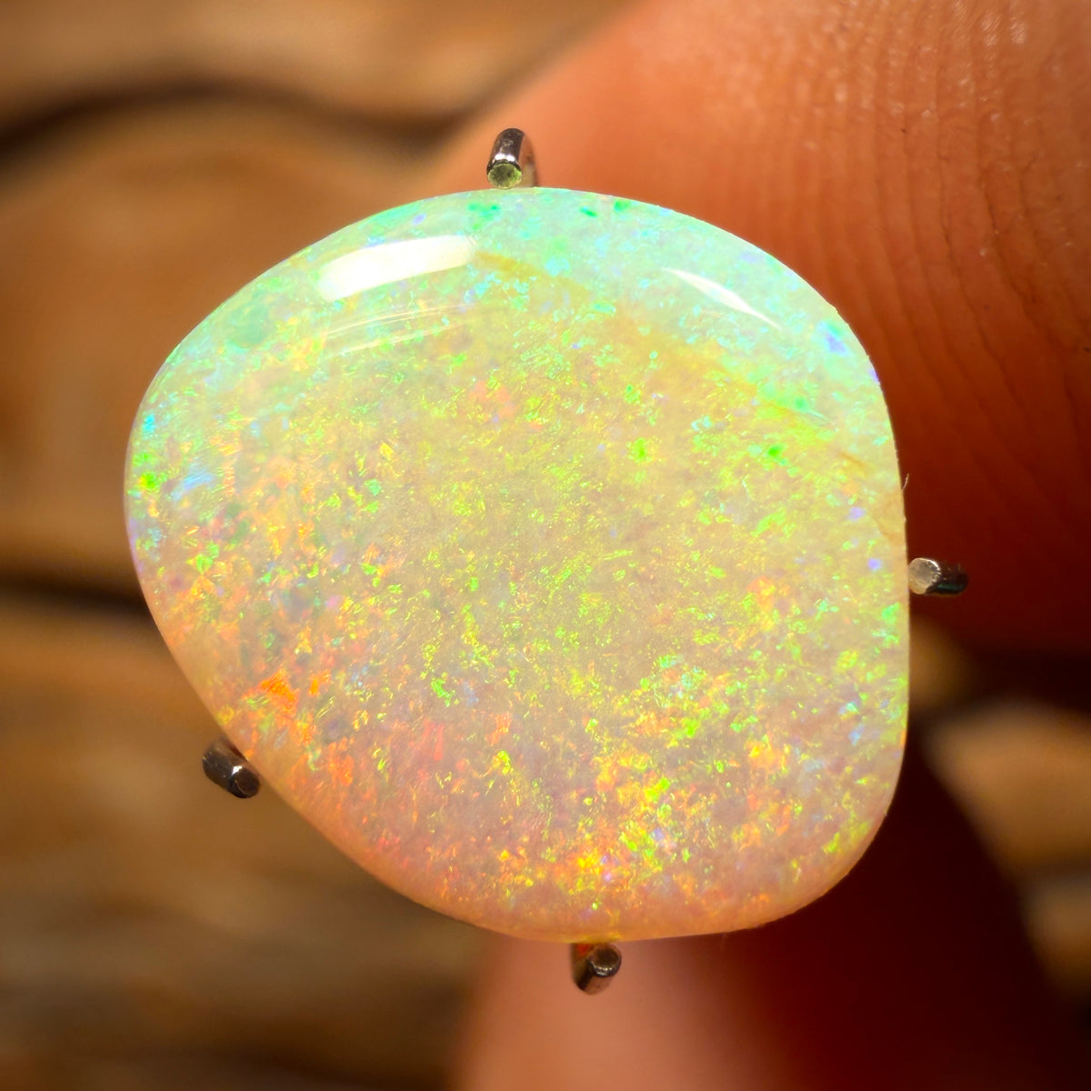 TGIF 3.1cts - Solid Australian Boulder Pipe Golden Green Crystal Opal