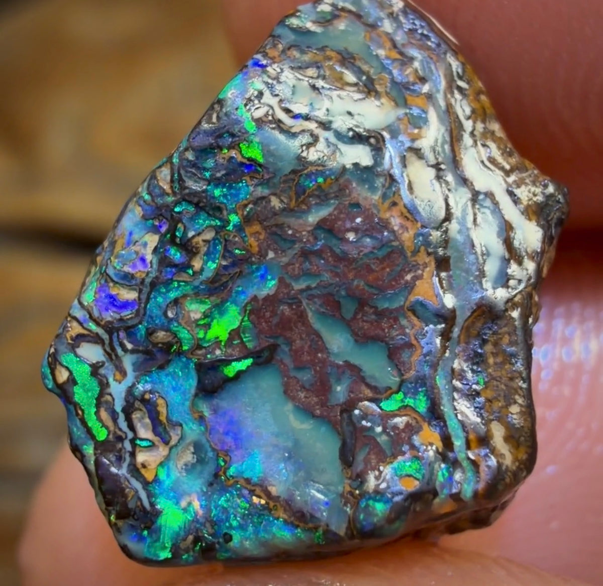 Opale brute Yowah Nut de 9,1 ct - Magnifique ! Tailleur de pierres pour bagues !